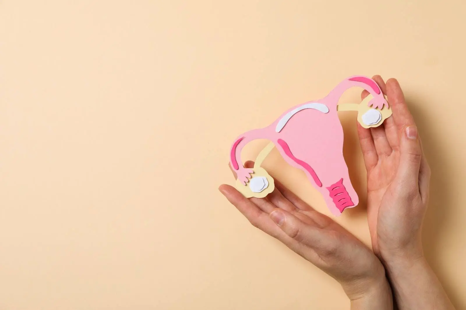 berapa biaya operasi labiaplasty