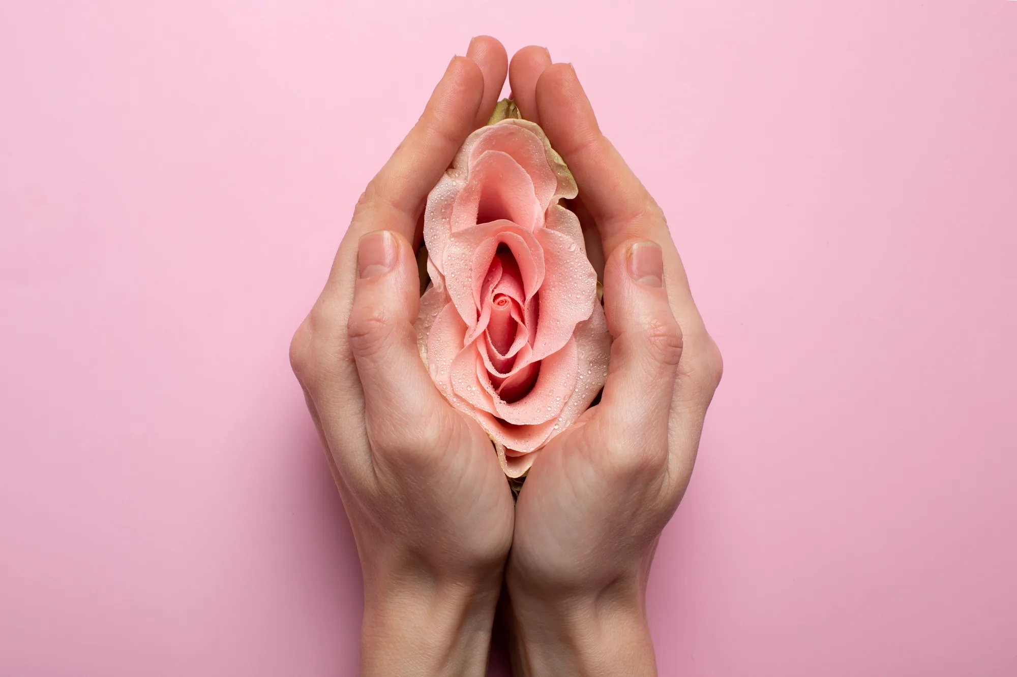 labia mayora