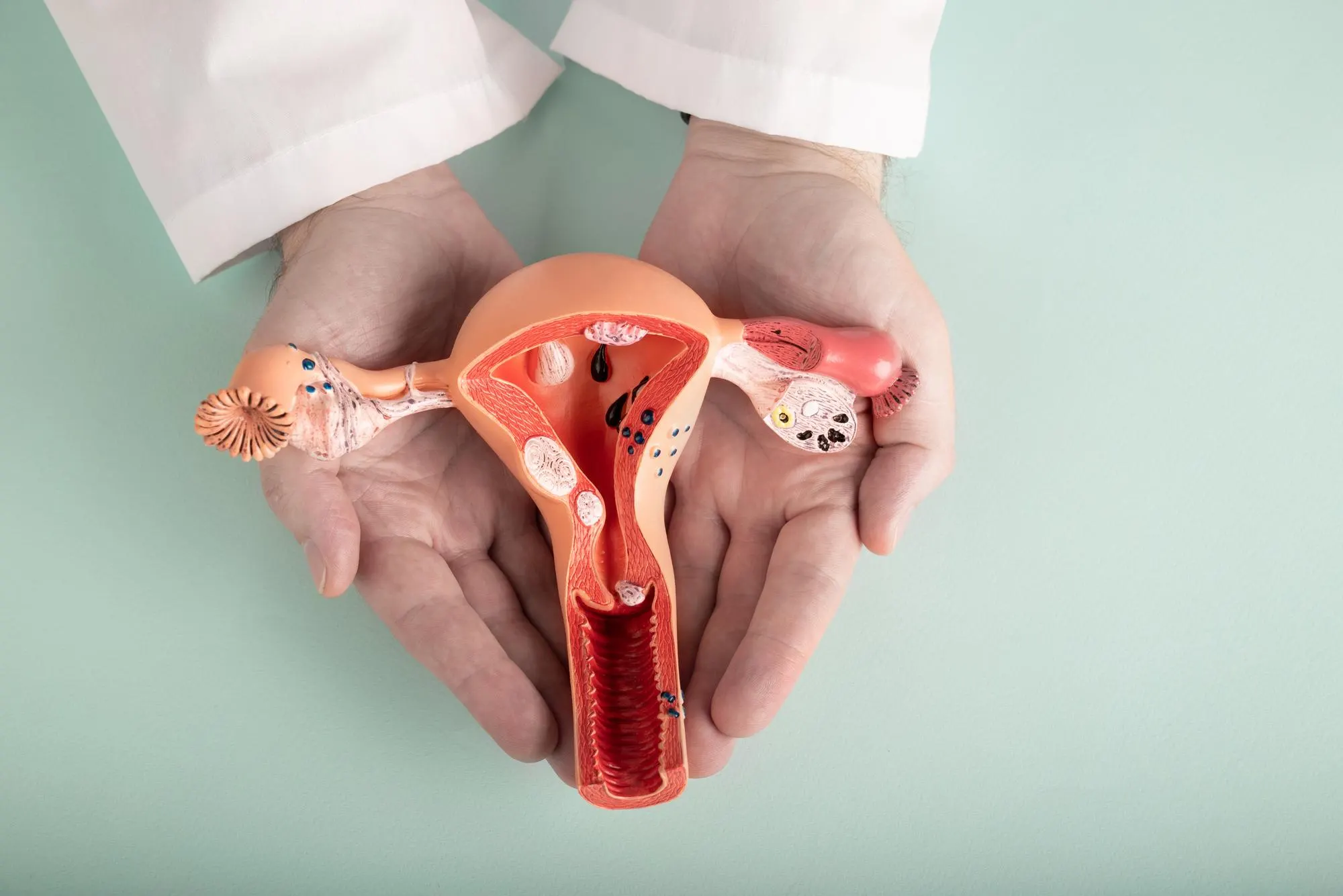vaginal rejuvenation